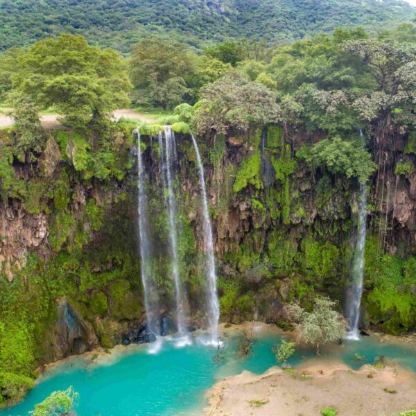 Discover Salalah